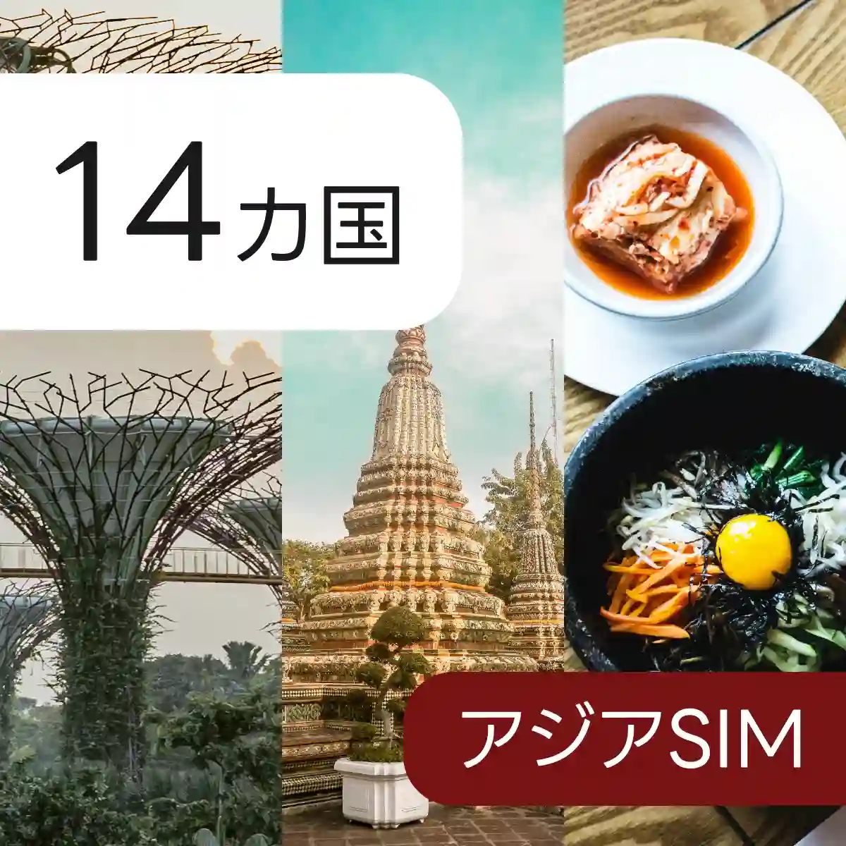 14カ国 アジア eSIM