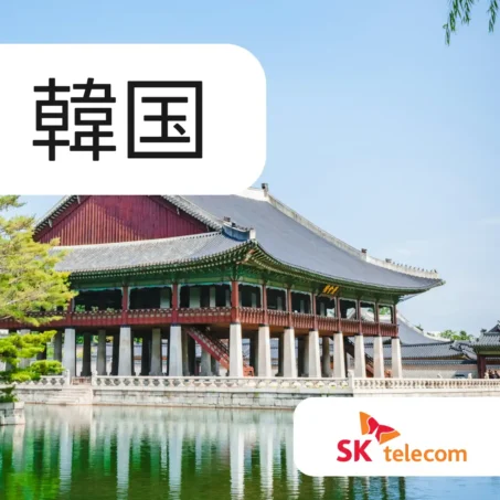 韓国 SKT eSIM
